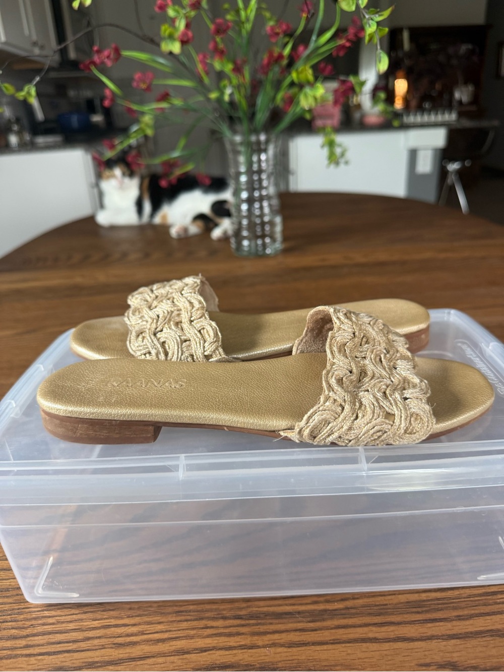 Kaanas Braided Slide Sandals in Natural Beige